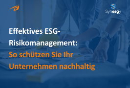 Effektives ESG-Risikomanagement Schlüsselkomponenten und Best Practices WEB (1).png