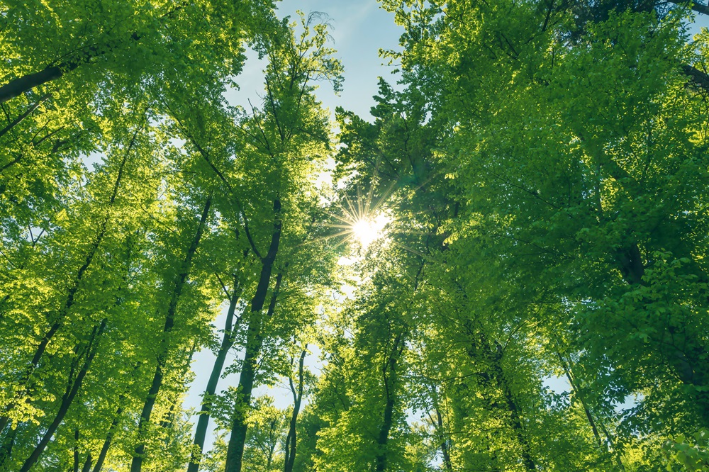 Biodiversität CRIF